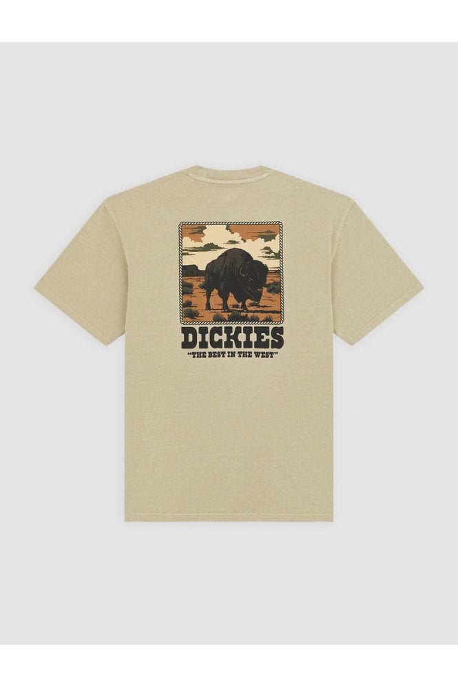 DICKIES Darrtown S/S T-Shirt