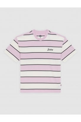 Dickies Embroidery Stripe T-Shirt