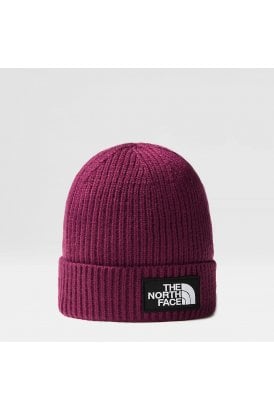 TNF Logo Box Cuffed Beanie Short