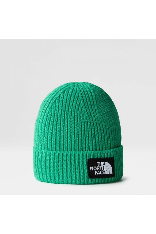 THE NORTH FACE TNF Logo Box Cuffed Beanie Short